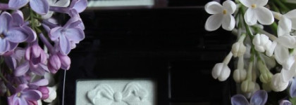 Dior Diorshow Mono Trianon Edition Wet & Dry Backstage Eyeshadow #427, Opaline