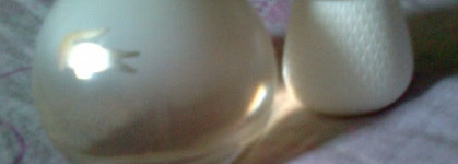 Нежный крокодильчик от Lacoste - Eau de Lacoste