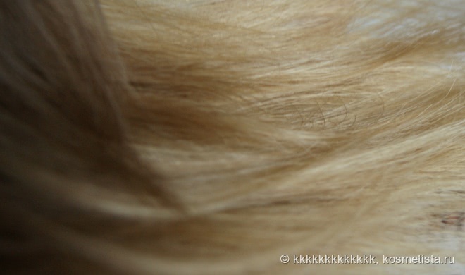 Спрей для волос Missha Dong Baek Gold Premium Recovery Hair Mist