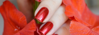 El Corazon - №24 - Express effect