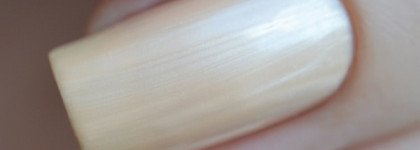 El Corazon - коллекция Impression