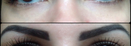 Бойцы невидимого фронта Ffleur trio eyebrow #1, #2