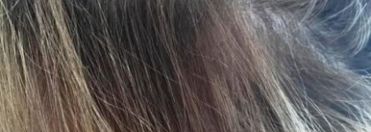 Бюджетный тест: краска Garnier Color Sensation 8.0