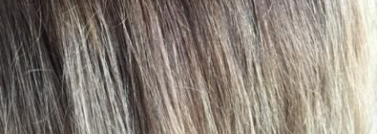 Бюджетный тест: краска Garnier Color Sensation 8.0