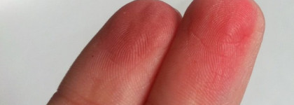 Guerlain Rose aux Joues duo de blush 04 Pink Punk (добавлены свотчи)