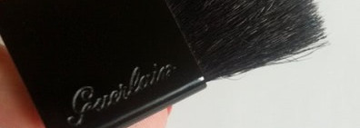 Guerlain Rose aux Joues duo de blush 04 Pink Punk (добавлены свотчи)
