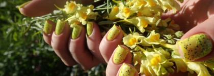 El Corazon Fenechka 423/122