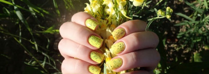 El Corazon Fenechka 423/122