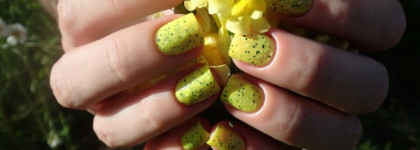 El Corazon Fenechka 423/122