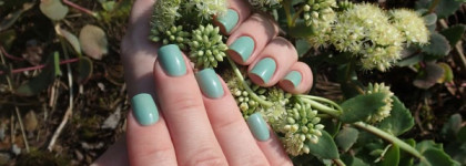 El Corazon Jelly 423/59