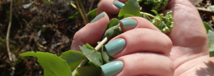 El Corazon Jelly 423/59