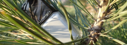 Illamasqua Raindrops