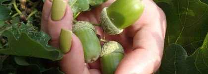 O.p.i. Nail lacquer G17 Don't talk Bach to me