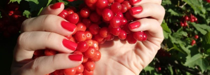 Essie Nail Lacquer 247 Hip-Anema