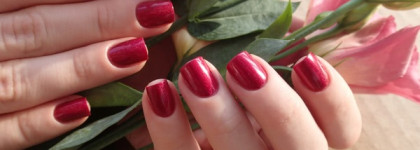 A-England Rose bower