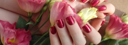 A-England Rose bower