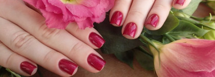 A-England Rose bower