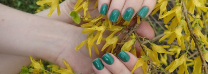 Anny Nail Polish 377.40 Welcome gift