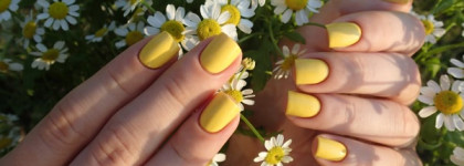 O.p.i. I just can't Cope-acabana