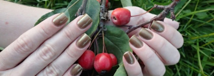 China Glaze Nail lacquer with hardeners 81858 Mind the gap