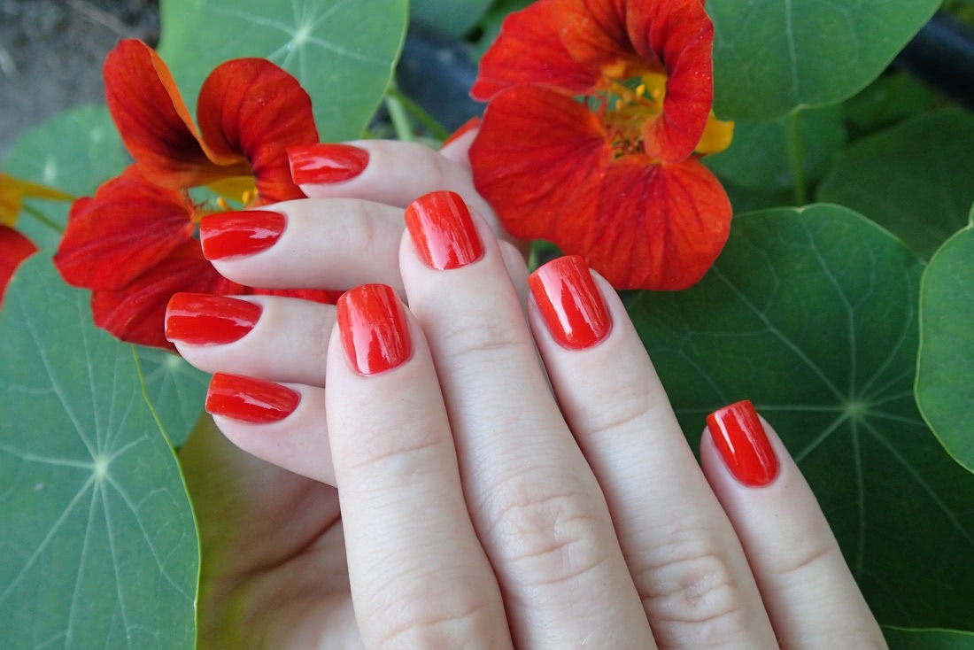 Classic Summer Nail Colors - The Small Things Blog