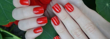 Essie Nail Polish 66 Clambake