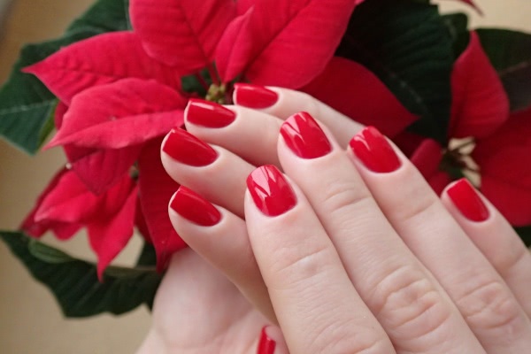 China Glaze Nail lacquer with hardeners 80520 Poinsettia