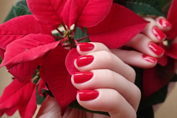 China Glaze Nail lacquer with hardeners 80520 Poinsettia