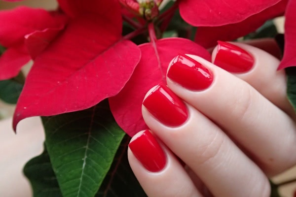 China Glaze Nail lacquer with hardeners 80520 Poinsettia