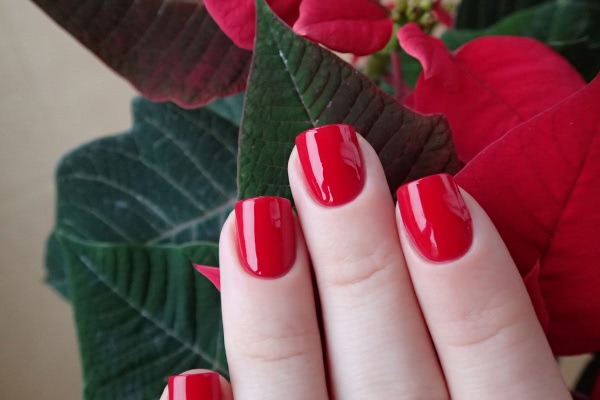 China Glaze Nail lacquer with hardeners 80520 Poinsettia