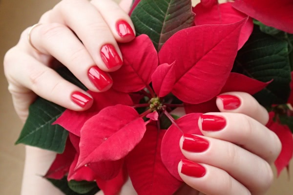 China Glaze Nail lacquer with hardeners 80520 Poinsettia