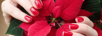 China Glaze Nail lacquer with hardeners 80520 Poinsettia