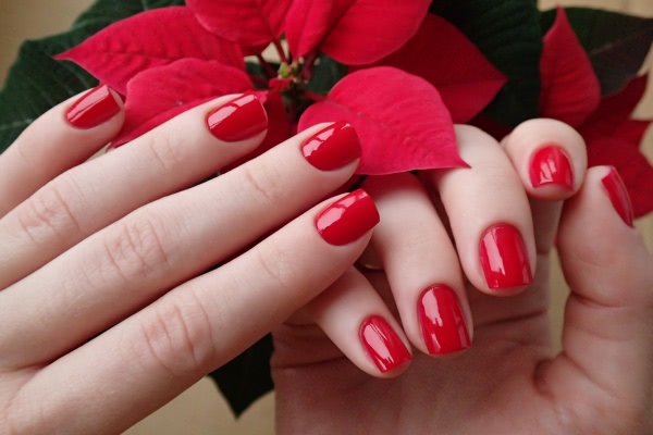 China Glaze Nail lacquer with hardeners 80520 Poinsettia