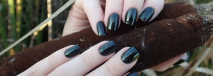 Picture pOlish Nail polish Mallard