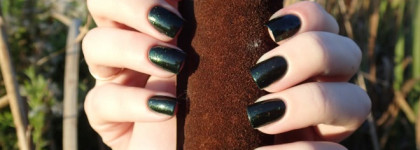 Picture pOlish Nail polish Mallard