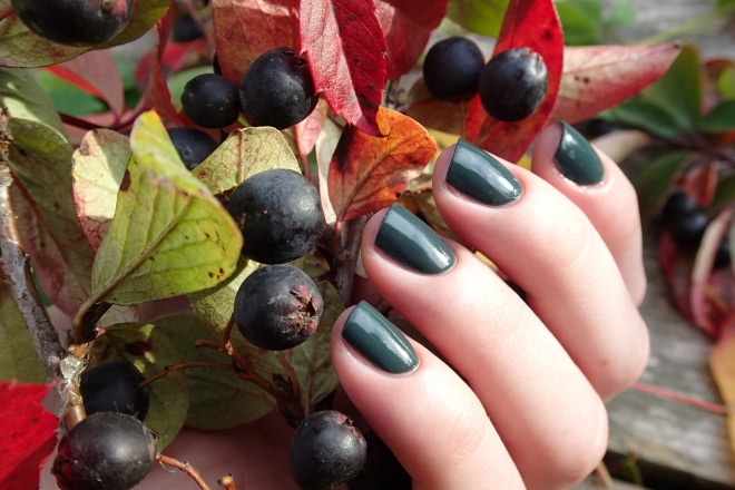 China Glaze Nail lacquer with hardeners 82705 Take a hike
