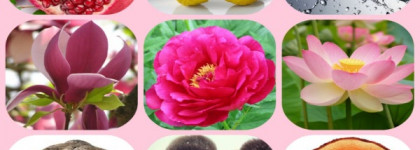 Моя love story с ароматом Versace Bright Crystal