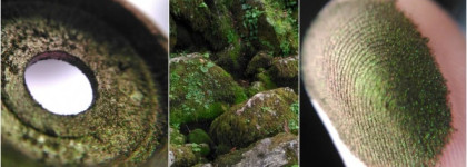 Sigil Inspired от Тамми Тануки "Мать Природа"