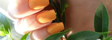 Желтое настроение или Essence №118 Little miss sunrise