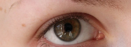 Просто моя любимая тушь. Max Factor False Lash Effect (Waterproof Black)