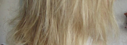 Двоечники и отличники в борьбе с секущимися кончиками