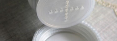 На что вы готовы ради объёма? Пудра для волос Schwarzkopf Taft Instant Volume Powder