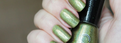 Dance Legend Holodays Collection 849 "Olive Theory"