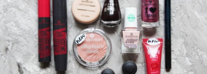 Essence spring/summer 2016 (краткий обзор части коллекции со множеством фотографий)