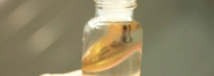 Экспресс-масло для кутикулы Alessandro Express nail oil