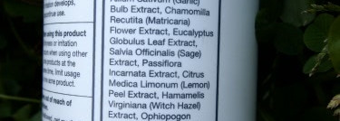 Dermalogica Clearing skin wash