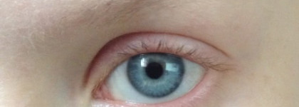 Eva Mosaic Eye Brow Duo