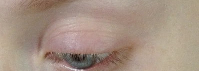Eva Mosaic Eye Brow Duo