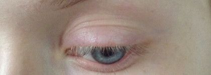 Eva Mosaic Eye Brow Duo