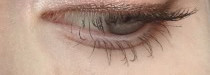 Eva Mosaic Eye Brow Duo